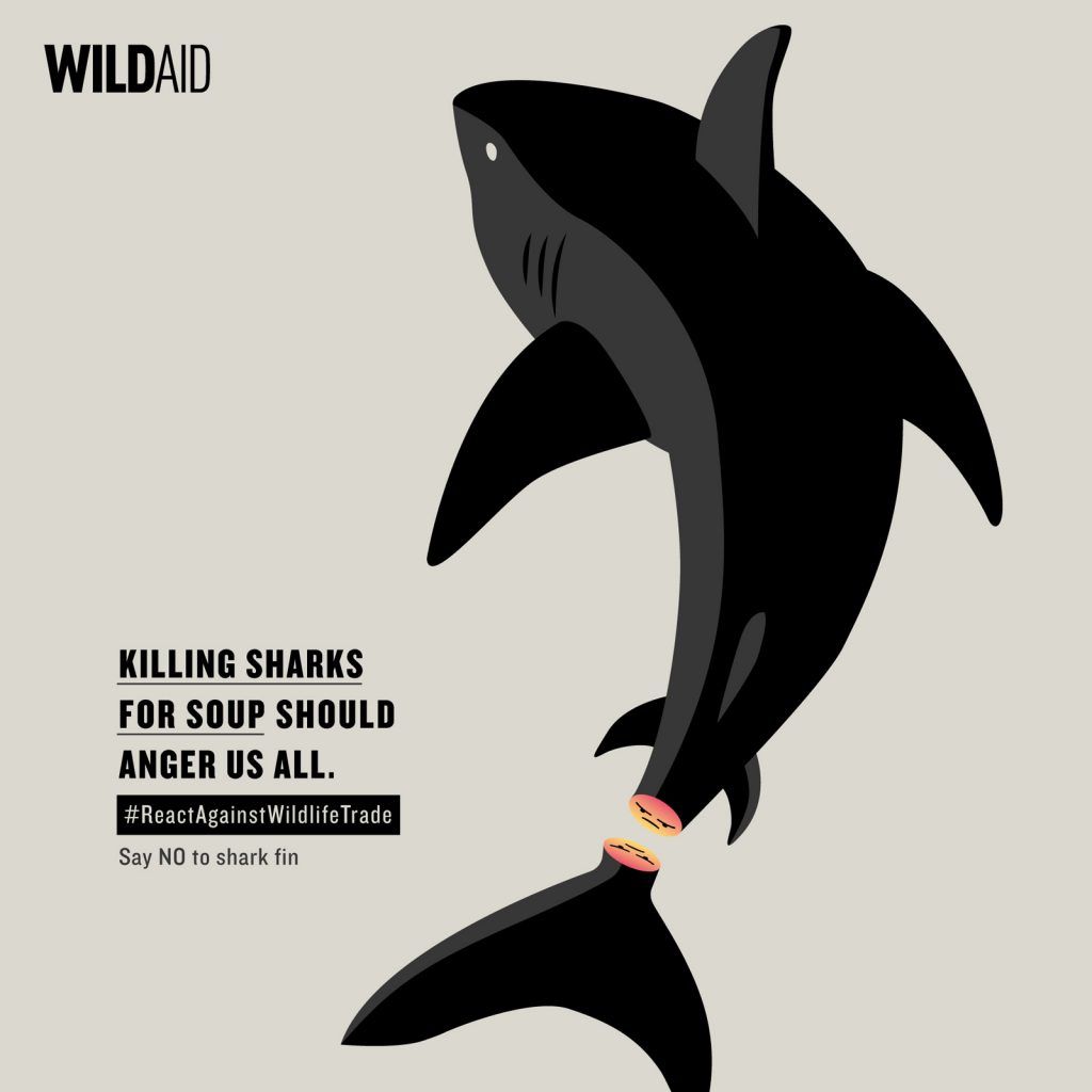 #ReactAgainstWildlifeTrade campaign_BBDO Bangkok_RRSS_Shark