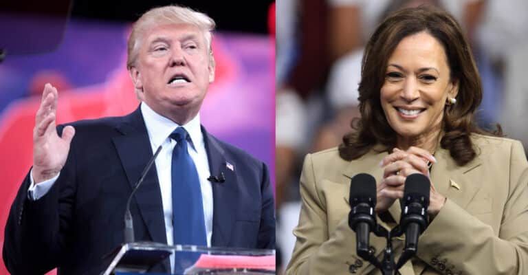 USA on course to the autocratic turn: Donald Trump defeats Kamala Harris scoring 279 against 223 electoral votes